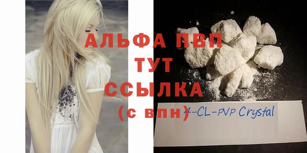 стаф Медногорск