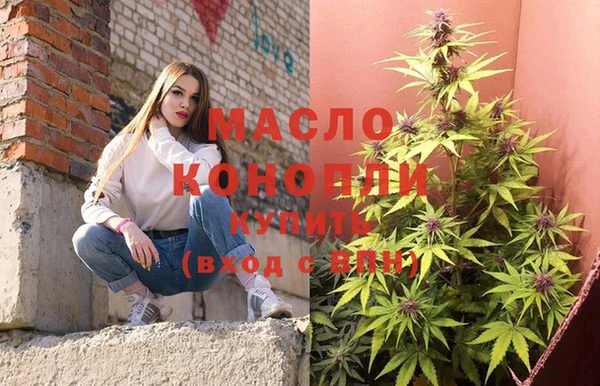 spice Богородицк