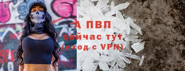 a pvp Магас