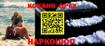 мяу мяу мука Аргун