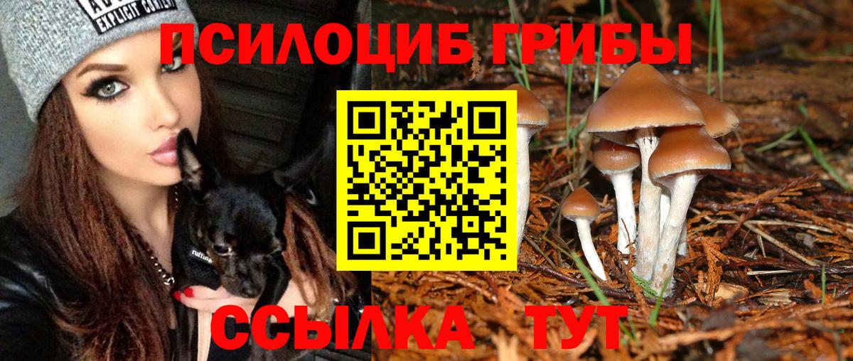 Псилоцибиновые грибы MAGIC MUSHROOMS  Рославль 