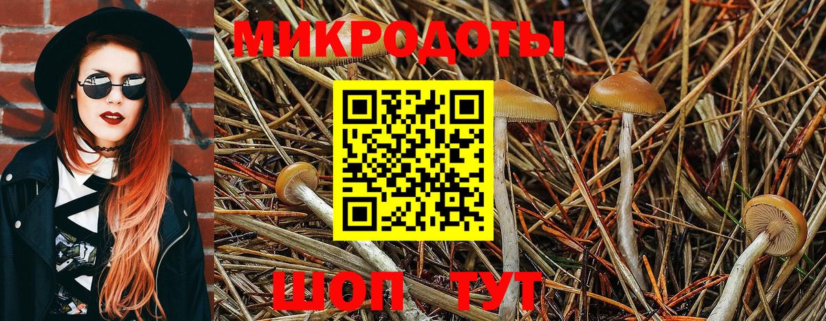 дарнет шоп  Галлюциногенные грибы GOLDEN TEACHER  Вход с VPN  Псилоцибиновые грибы GOLDEN TEACHER  Рославль 